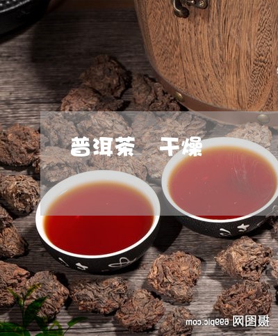 普洱茶 干燥/2023042828874